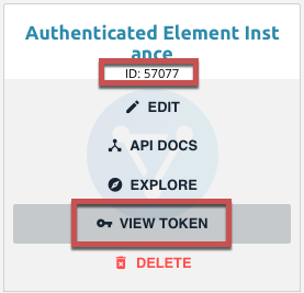 Authenticated Element Instance